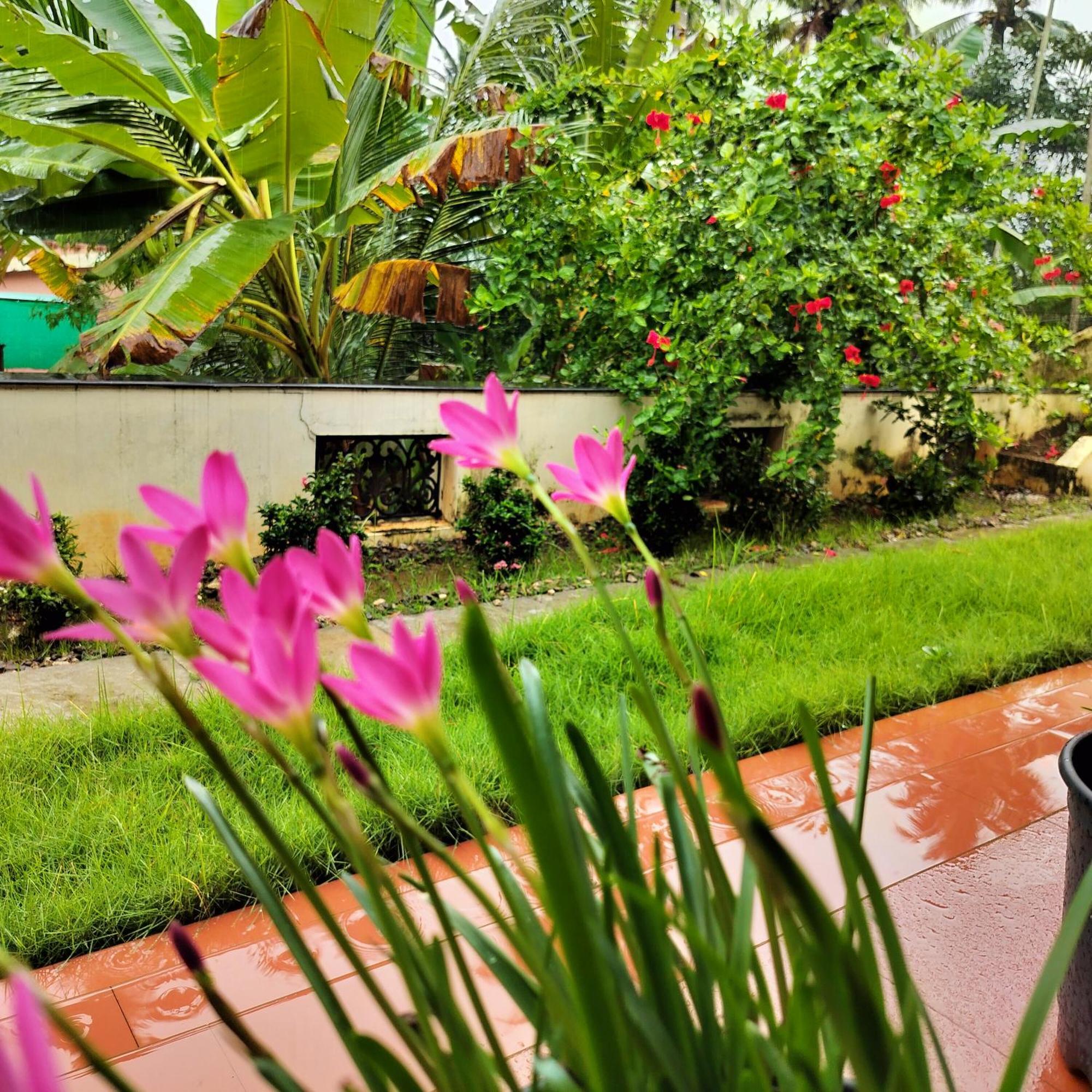 The Ixora - A Boutique Homestay Варкала Экстерьер фото